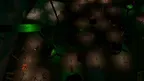 Huge Fright screenshot 3
