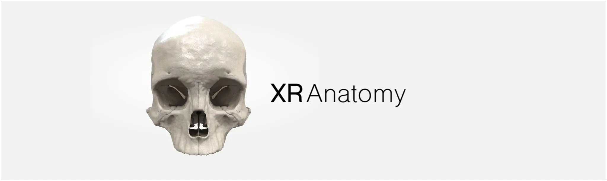 XR Anatomy