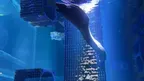 3D Aquarium Nausicaä Centre National.. screenshot 3