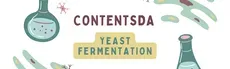 Yeast Fermentation Experiment - ContentsDa Science Experiment hero image
