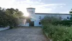 Baena Olive Grove and Oil Museum VR screenshot 0