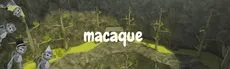MacaqueVR hero image