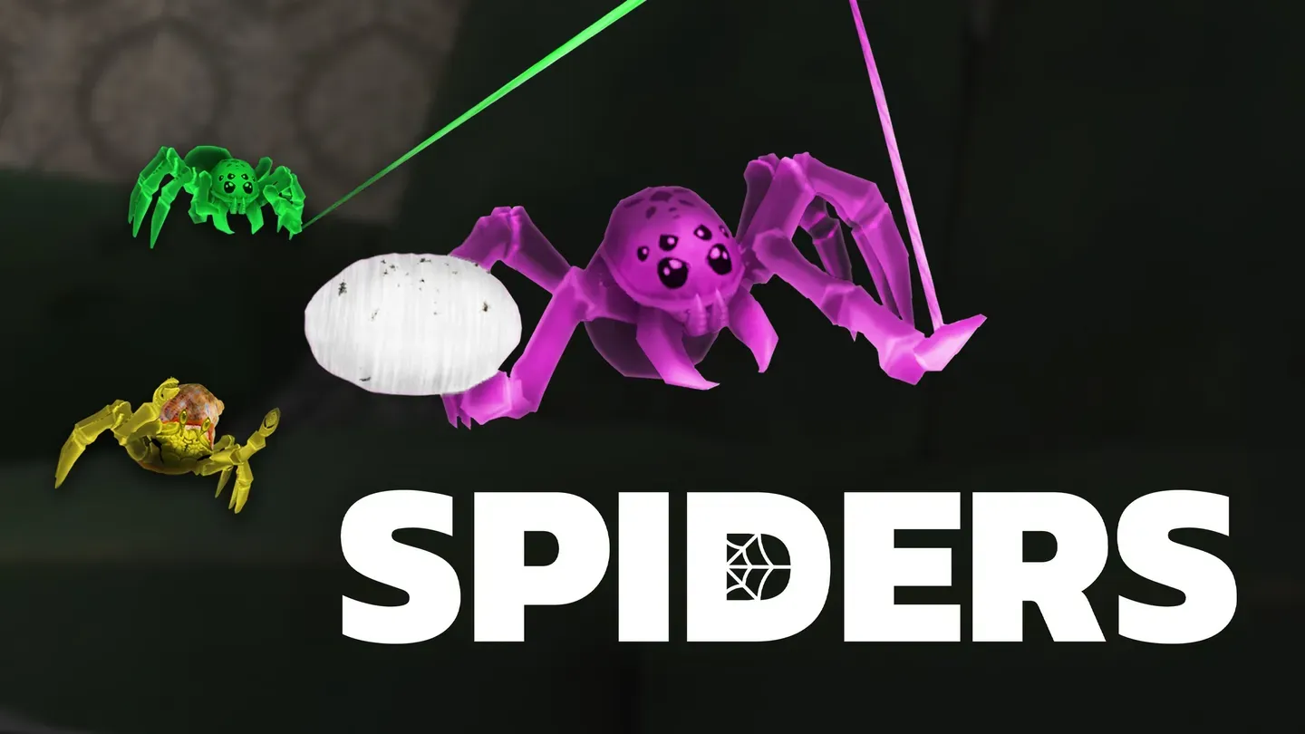 Spiders trailer 0