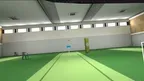 Cricket VR Standalone screenshot 3
