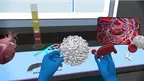 Anatomy Learning Labs: Cardio Lab screenshot 2