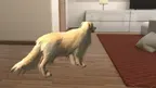 My puppy: Golden Retriever screenshot 1