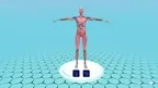 Human Anatomy screenshot 5