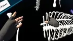 the anatomy of a dog screenshot 2