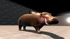 Hippo VR screenshot 0
