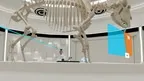 Animal Anatomy Explorer screenshot 1