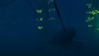 DeepSee VR screenshot 5