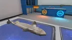 Dissection Simulator: Shark Edition screenshot 4