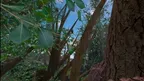 Squirrel Day screenshot 4