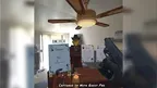 Zombies Noir: Mixed Reality screenshot 3