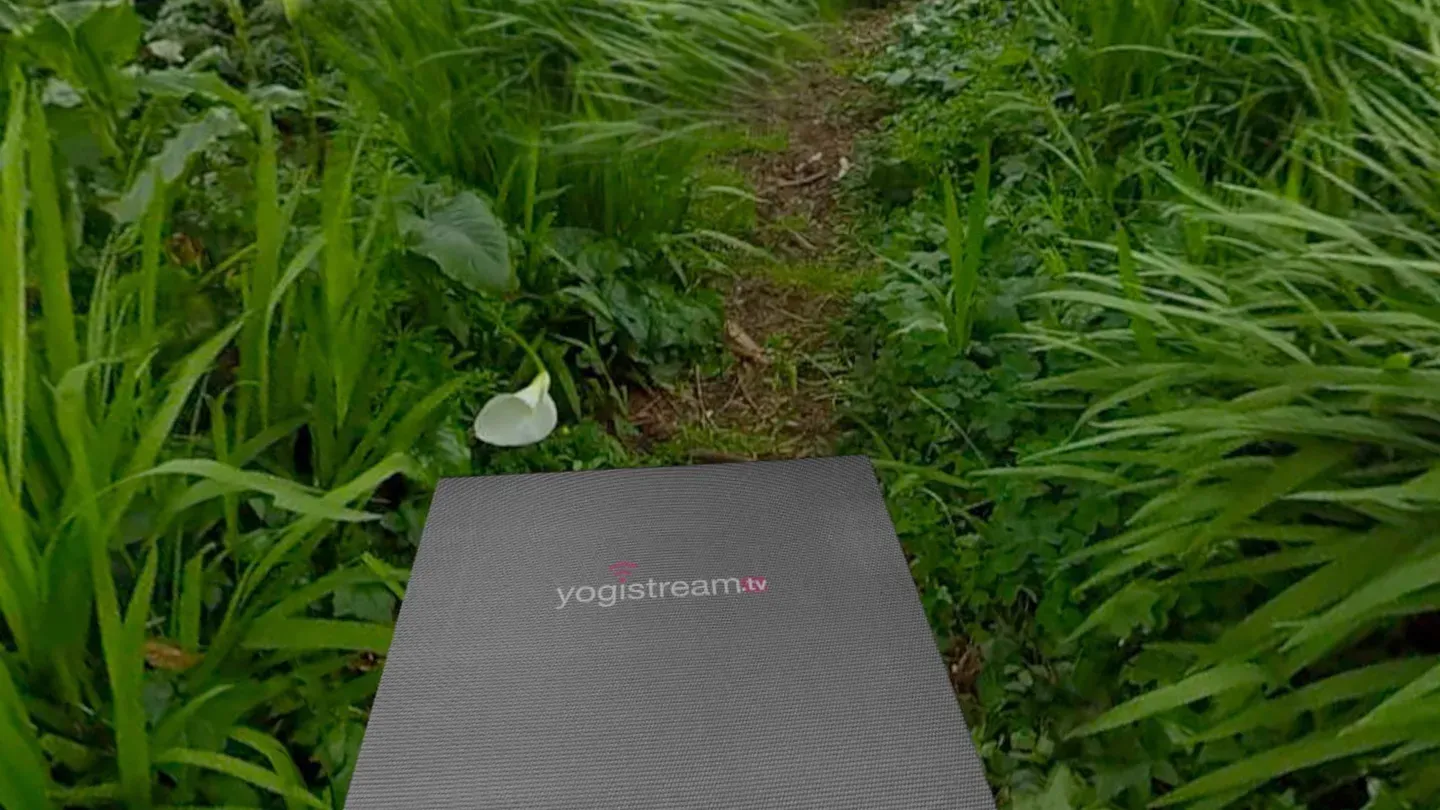 Yogistream trailer 0