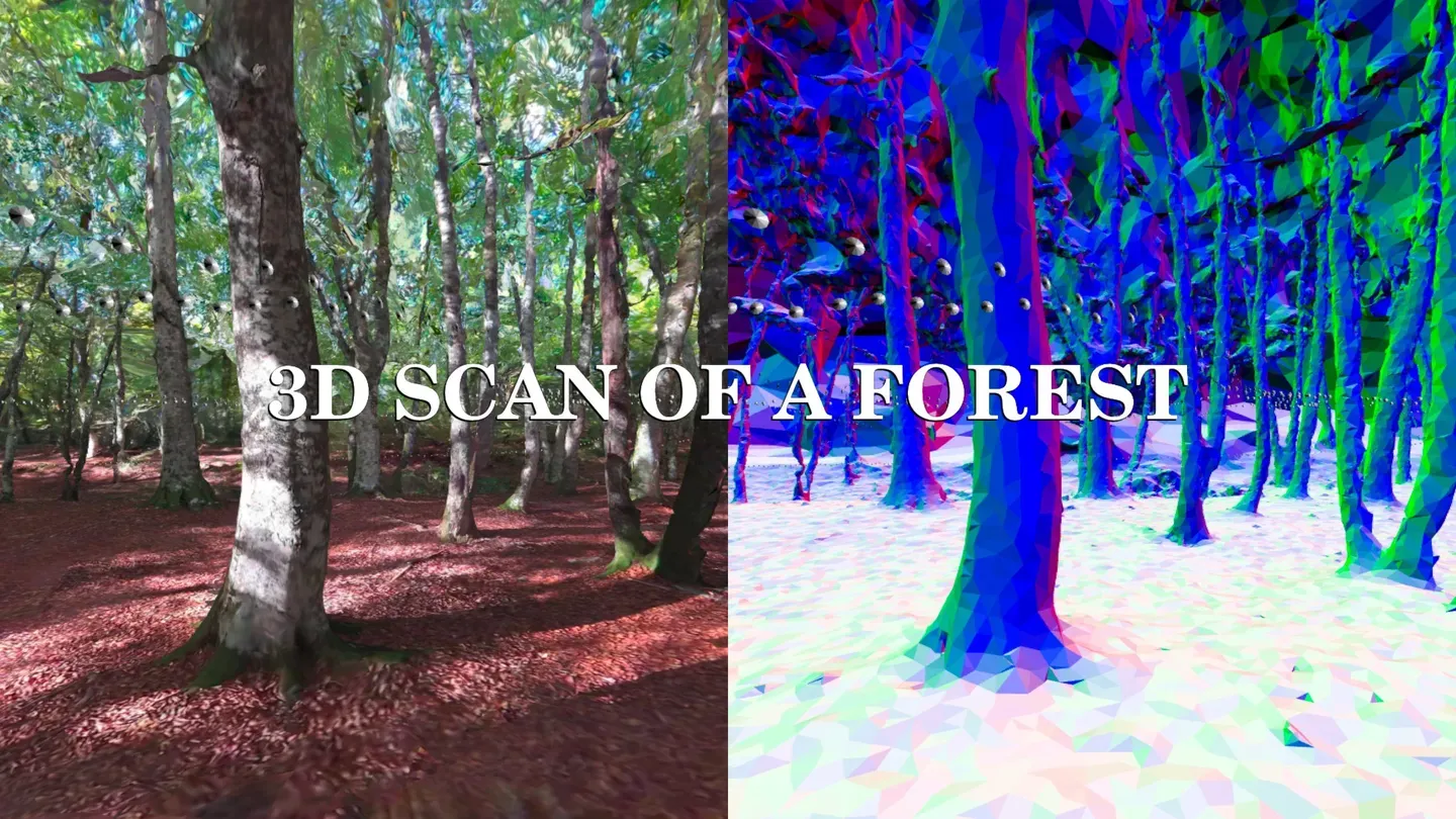 3D scan of a forest trailer 0