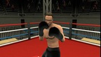 Golden Gloves Boxing screenshot 5