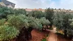 Holy Land Tours - Jerusalem screenshot 1