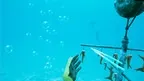 How to Rescue a Reef  screenshot 2