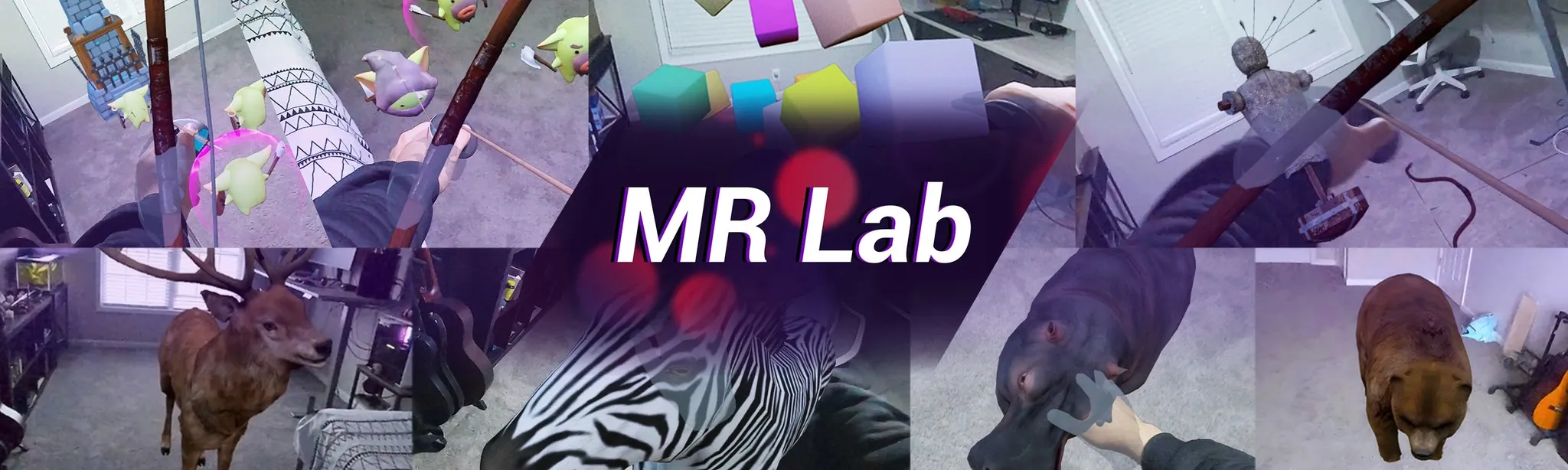MRLab