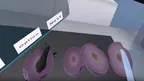 Cell Division Experiment - ContentsDa Science Experiment screenshot 2