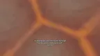 InnerVerse screenshot 3