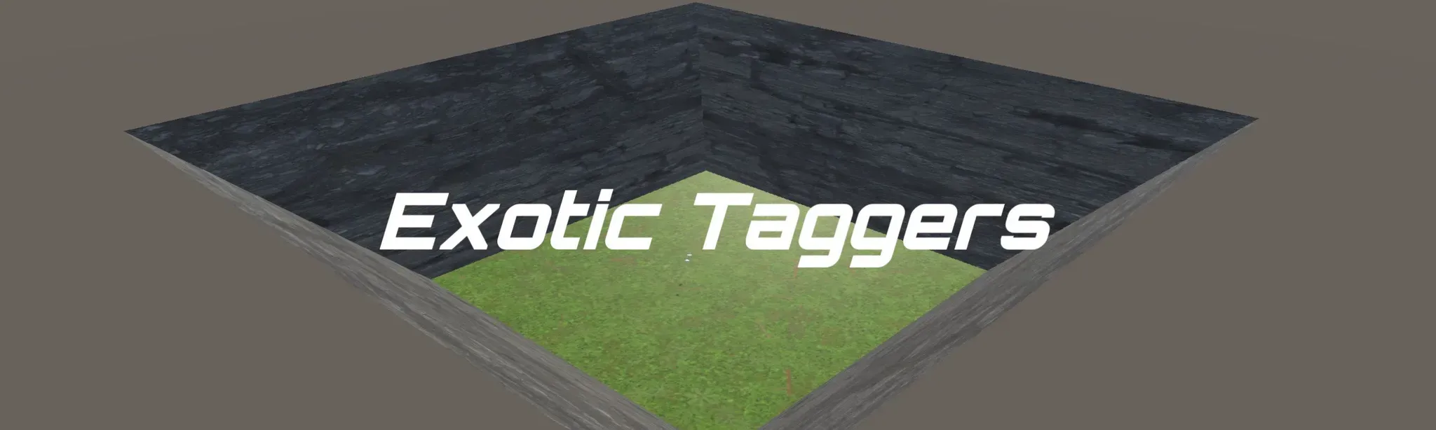 Exotic Taggers