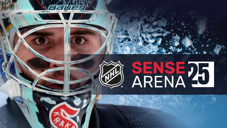 NHL SENSE ARENA 25  - SEASON RELEASE + 25 UPDATE