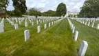 Honor Everywhere screenshot 4