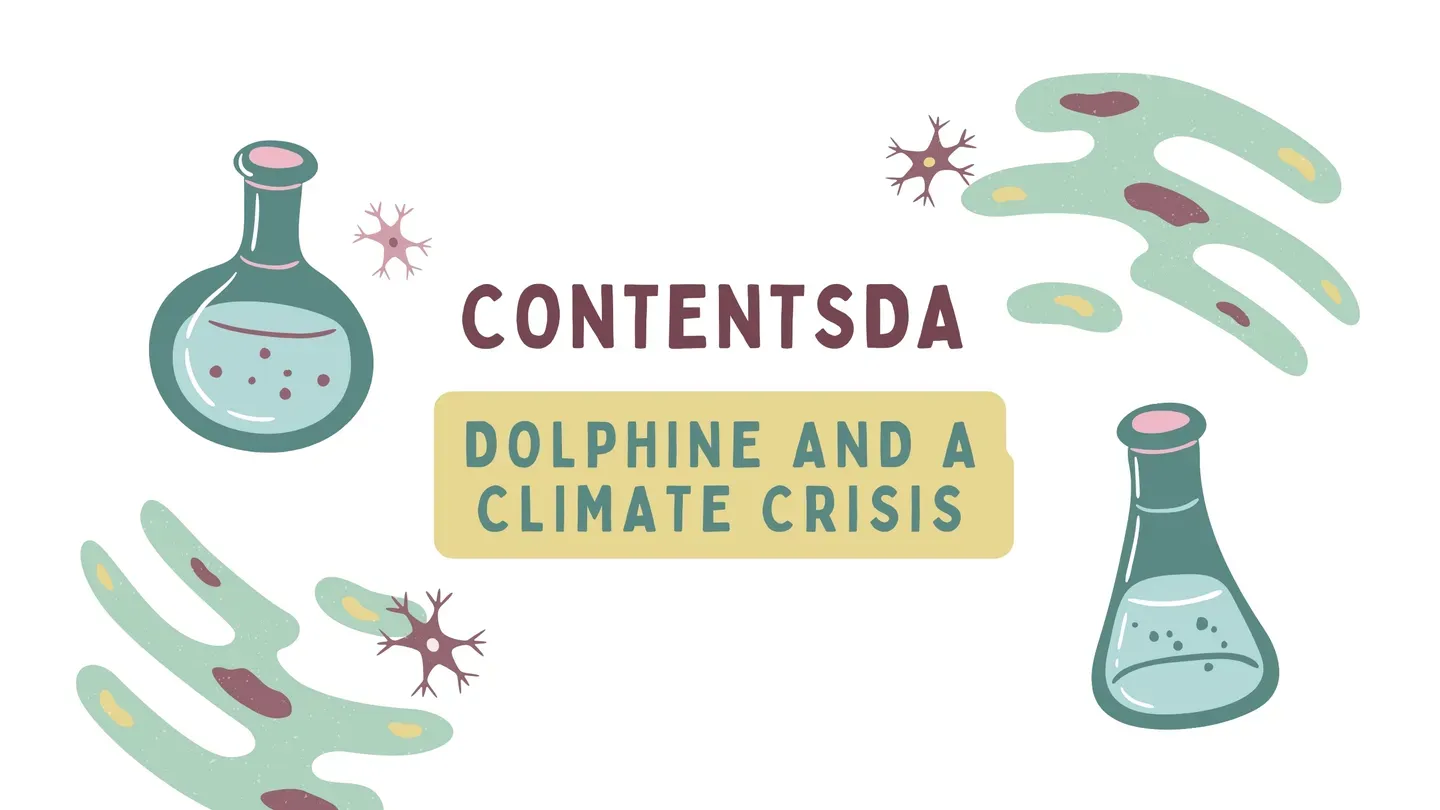 Dolphine and a Climate Crisis - ContentsDa Science Experiment trailer 0