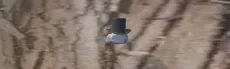 The Rock Runners hero image