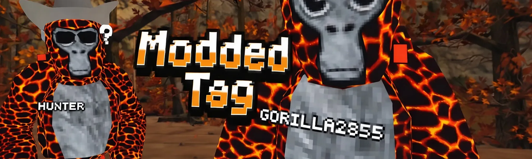 Modded Tag