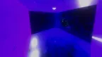 Awesome Monkeys screenshot 2