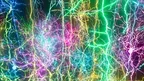Cajal's Dream screenshot 4