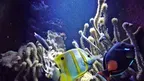 Aquariums Berlin screenshot 3