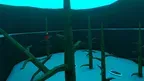 Gorilla Fun VR: OG screenshot 2