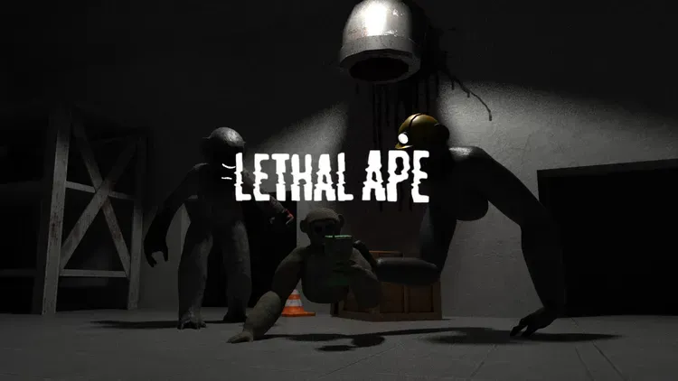 Developer update image for NEW UPDATE!
