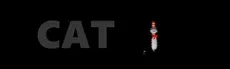 CAT hero image