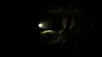 Primal Fear: Remastered screenshot 0