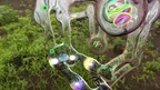 Squingle - Legacy screenshot 4