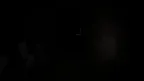 Secretive's OG Gorilla Horror screenshot 2