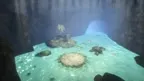 ZenoteVR screenshot 4