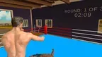 Boxing Academy VR screenshot 2