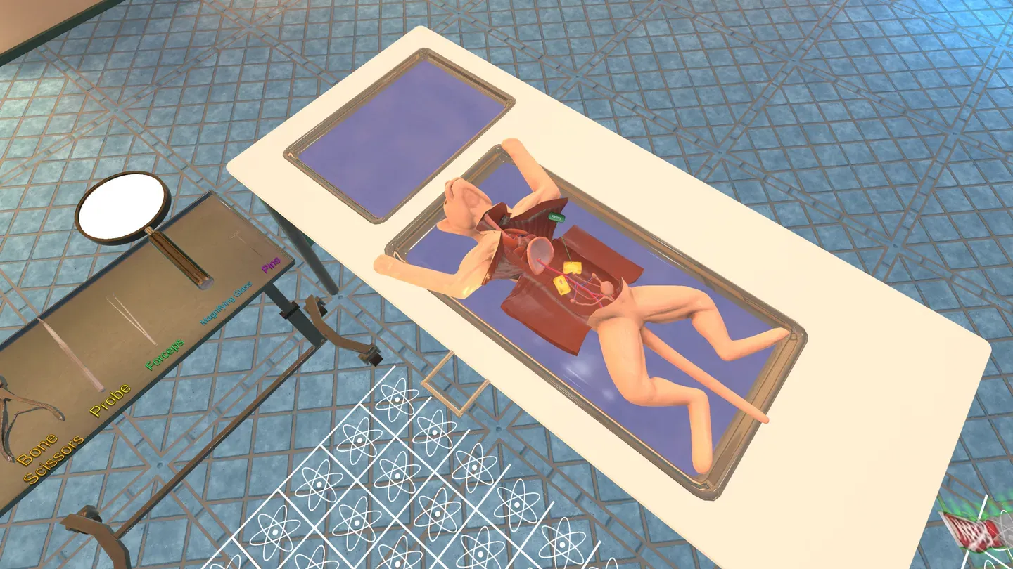 Dissection Simulator: Cat Edition trailer 0