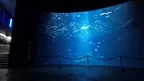 Aquariums on the Baltic Sea screenshot 1