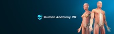 Human Anatomy VR