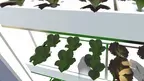 Smartfarm - School screenshot 3