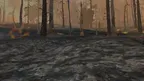 Forest Fire Regrowth screenshot 2
