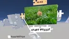 Video Puzzle screenshot 1
