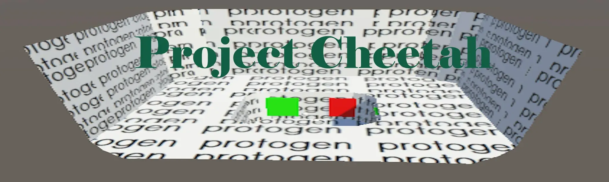 Project Cheetah